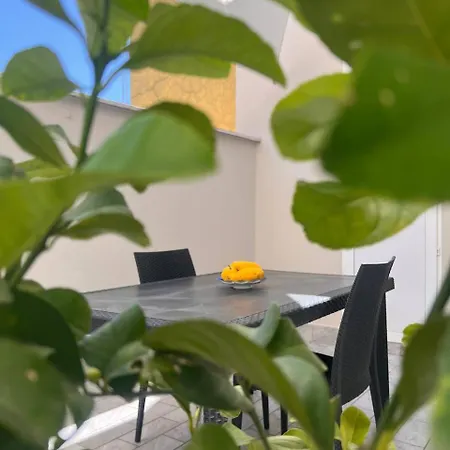 Bed and Breakfast 49 Downtown